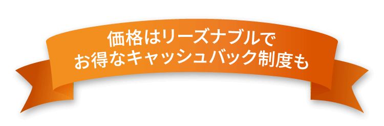 価格はリーズナブルでお得なキャッシュバック制度も